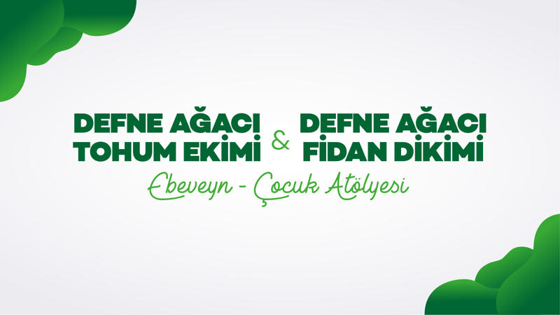 Defne Ağacı Tohum Ekimi Ebeveyn-Çocuk Atölyesi